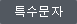 특수문자